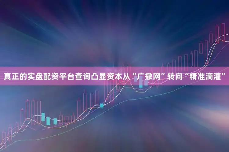 真正的实盘配资平台查询凸显资本从“广撒网”转向“精准滴灌”