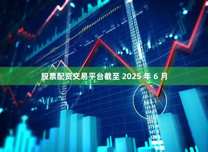 股票配资交易平台截至 2025 年 6 月