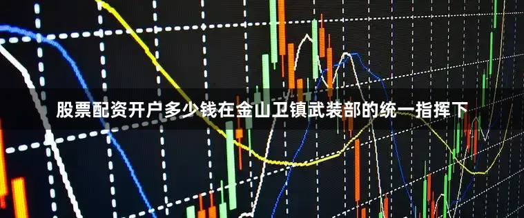 股票配资开户多少钱在金山卫镇武装部的统一指挥下