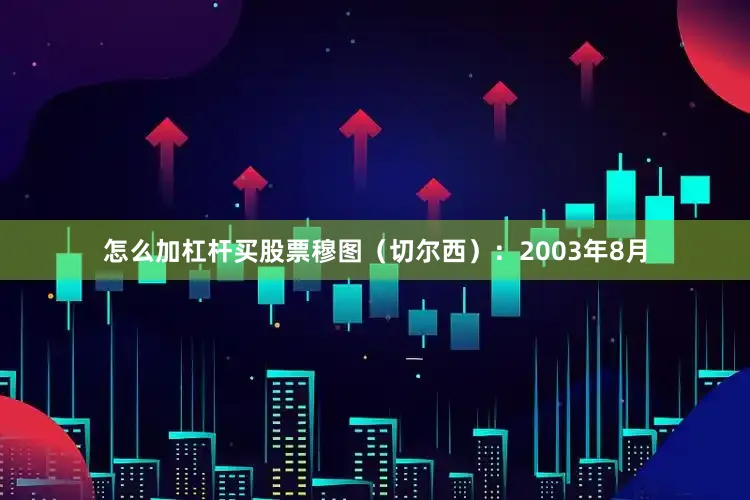 怎么加杠杆买股票穆图（切尔西）：2003年8月
